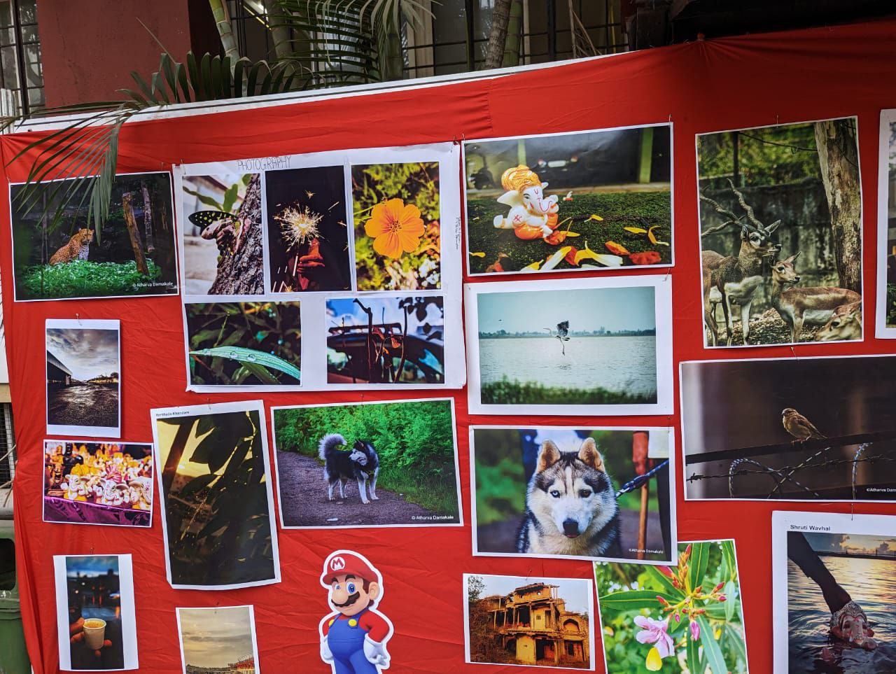 Modern College Images