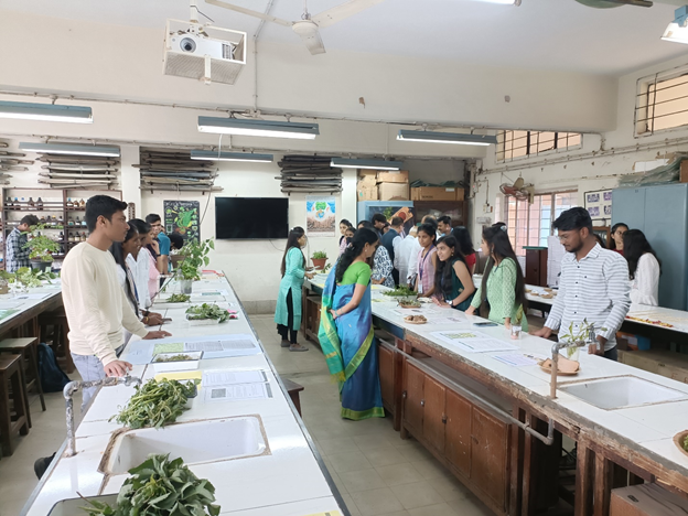 Modern College Images