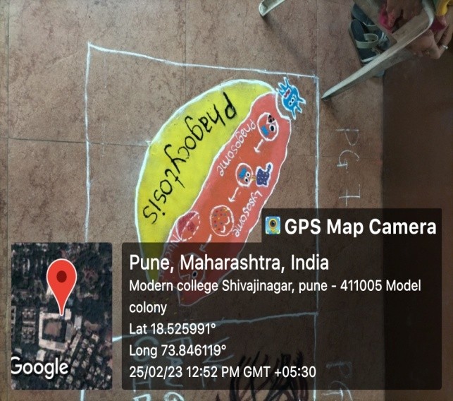 Modern College Images