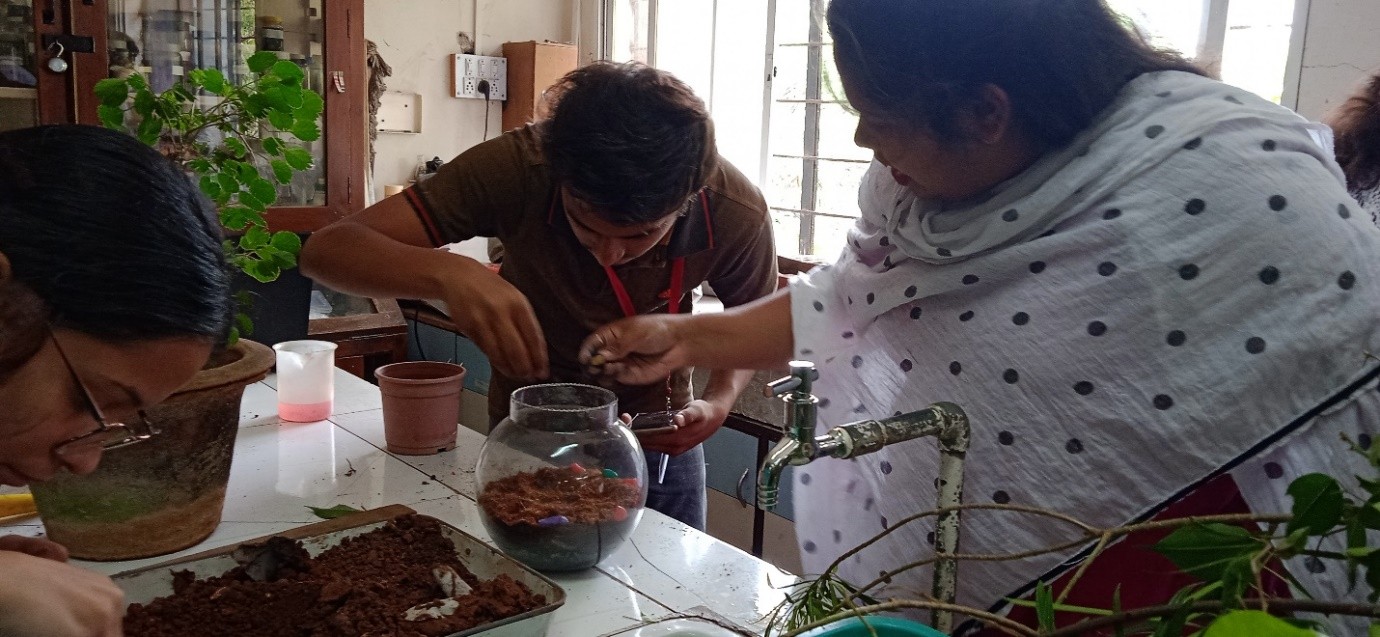 Modern College Images